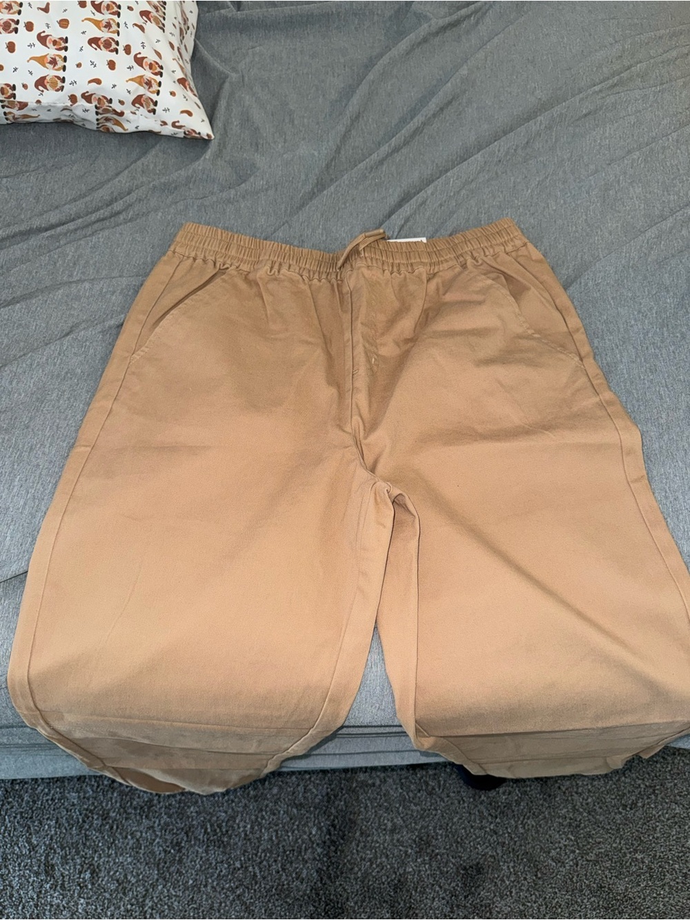 Boys Tan Joggers